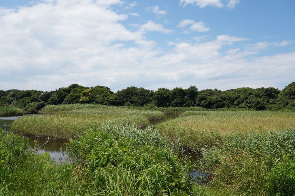 出島野鳥園