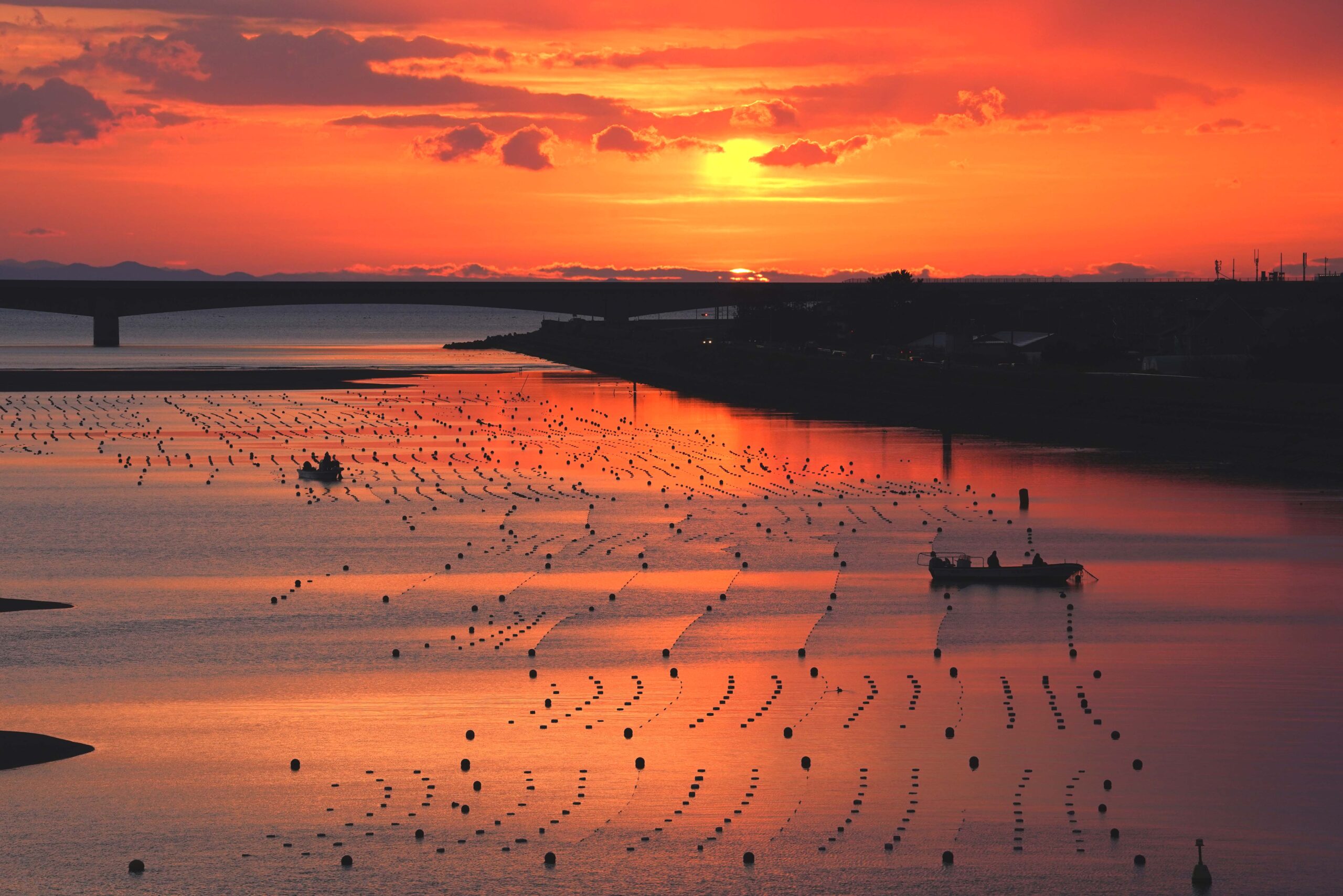 “吉野川河口を勉強する会”